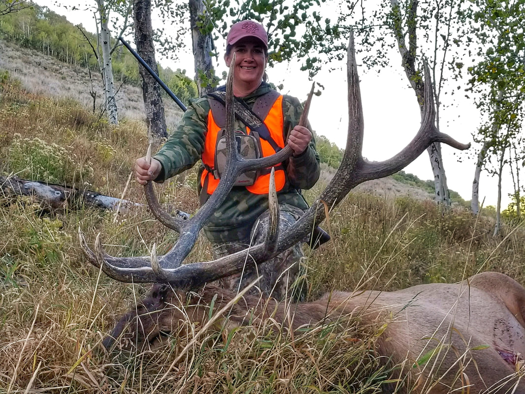 Utah Expo Elk Hunt Winner iVideo Wildlife Hunting and fishing
