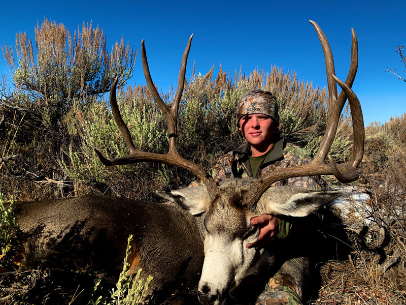 Big Colorado Mule Deer - i-Video Wildlife - Hunting and fishing videos ...